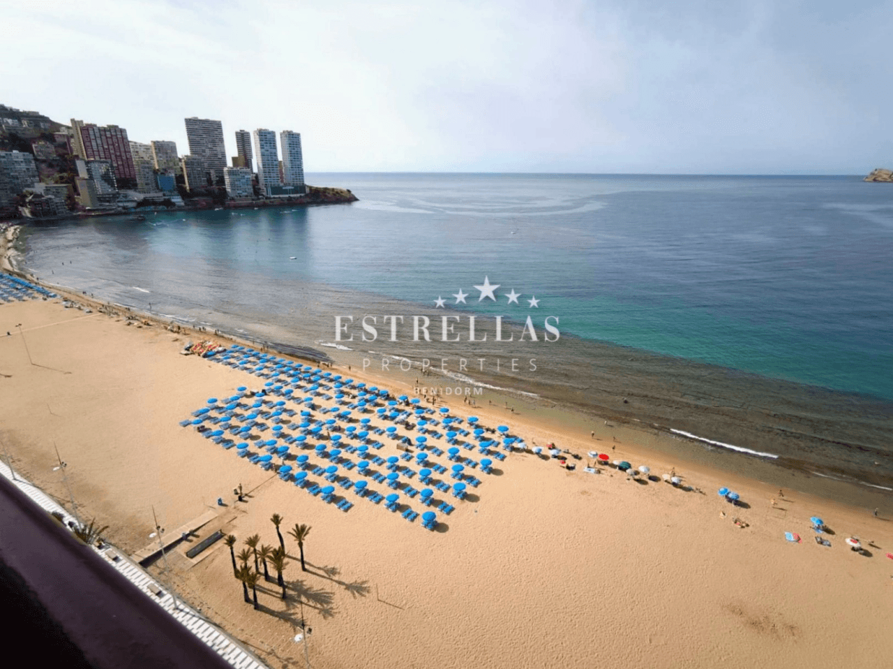 No te pierdas este estudio reformado en PRIMERA LINEA de la Playa Levante en BENIDORM